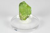 Green Olivine Peridot Crystal Cluster - Pakistan #183952-1